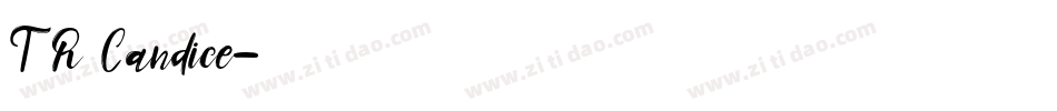TR Candice字体转换
